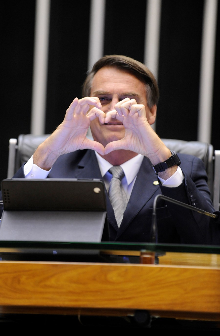 Jair Bolsonaro: O homem mediano assume o poder, Opinião
