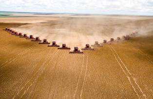 Plantação de soja em Mato Grosso; Agronegócio