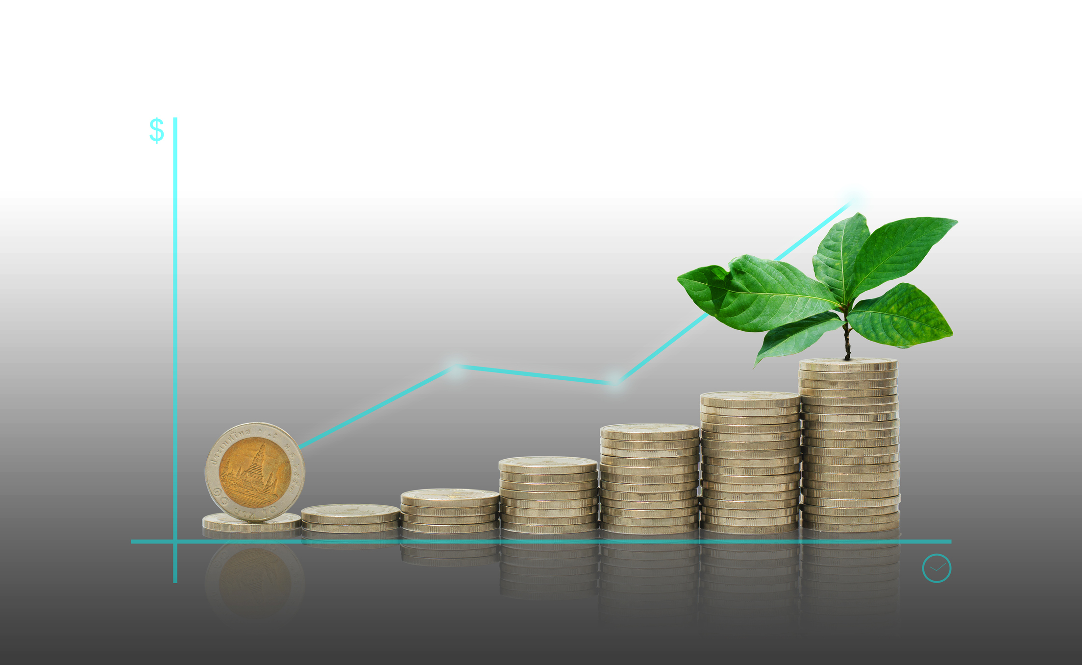 Investidor ignora ESG, mas “inflação verde” começa a impulsionar retornos:  “Faça pelo seu dinheiro”