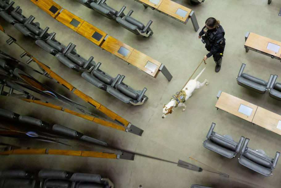 Policiais com cães farejadores fazem inspeção no Plenário da Congresso antes da posse do presidente Lula em Brasília (Myke Sena/Reuters)