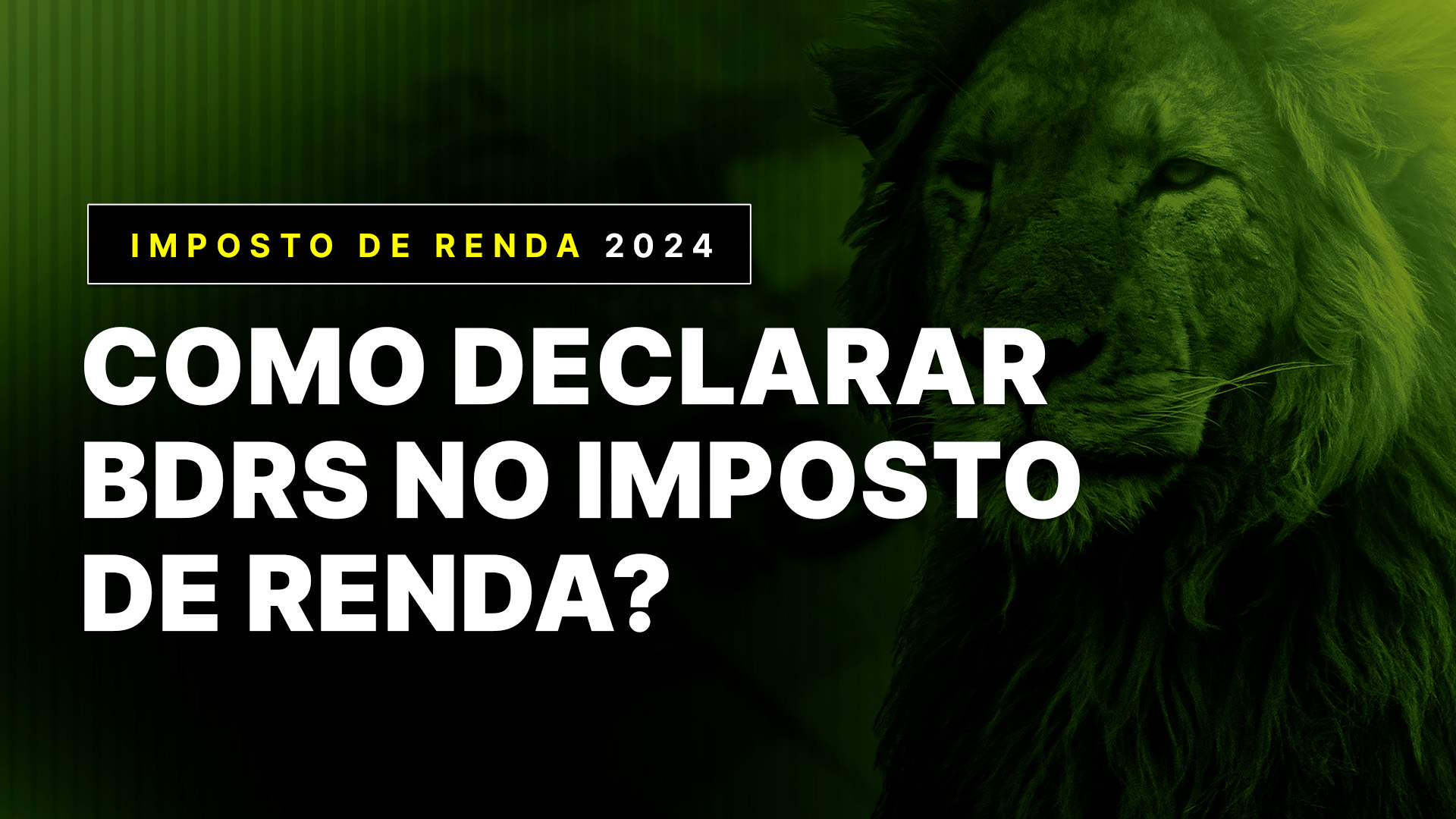 Como Declarar Bdrs No Imposto De Renda 2024 0237