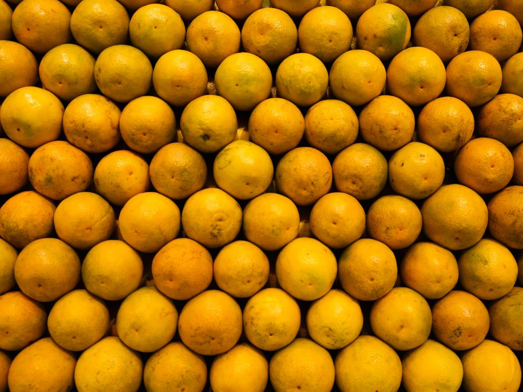 Crescem os investimentos na produção de laranja em Mato Grosso do Sul