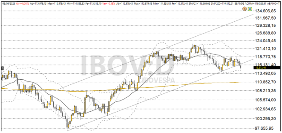 Ibovespa 11/09