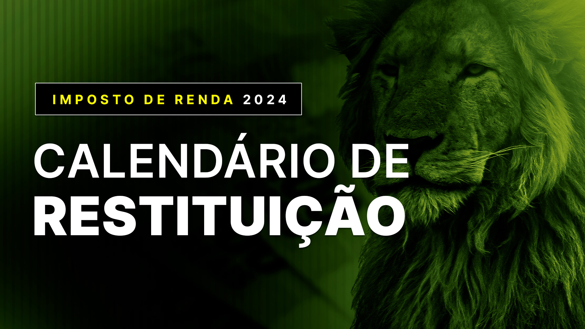 Calendário de restituição do Imposto de Renda 2024 confira as datas de