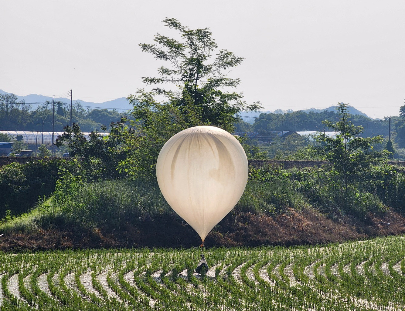 Balão com objetos em Cheorwon, na Coreia do Sul
 (29/5/2024    Yonhap via REUTERS)