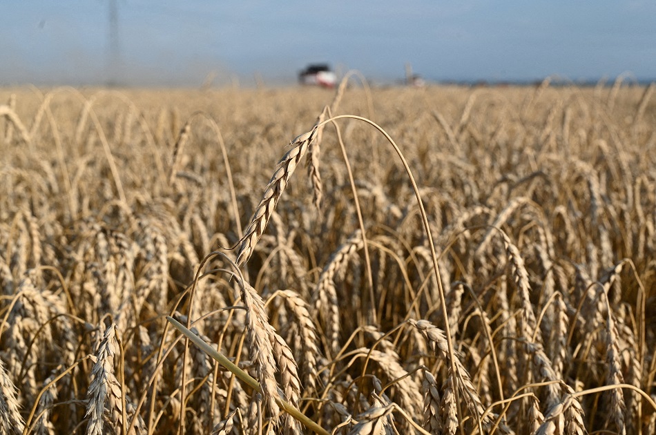 Colheita de trigo na região de Rostov, na Rússia
18/07/2023
REUTERS/Sergey Pivovarov