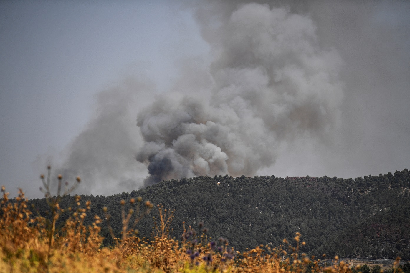 Fumaça é vista após ataques na fronteira do Líbano (REUTERS/Gil Eliyahu)13/06/2024
REUTERS/Gil Eliyahu