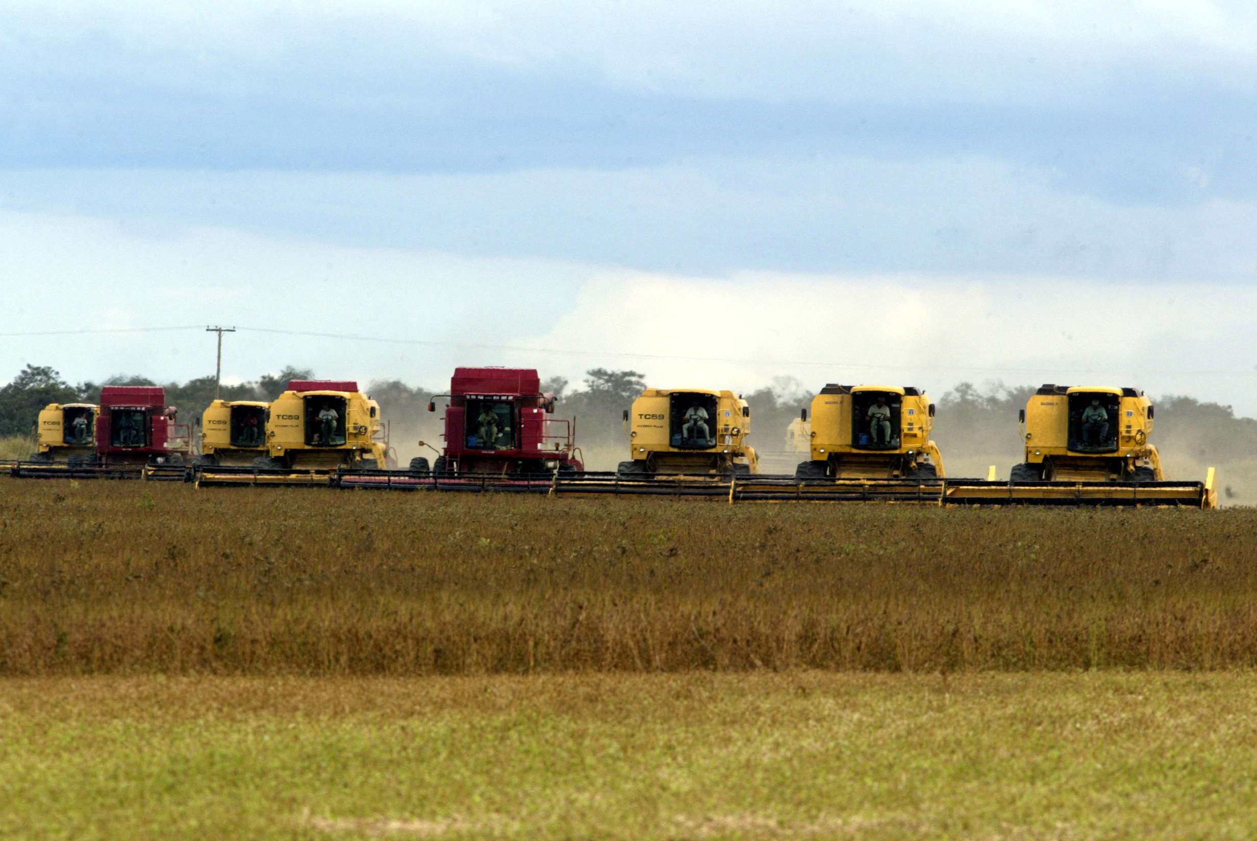 Sorriso (MT) lidera ranking de produção agrícola pelo 5º ano seguido em 2023