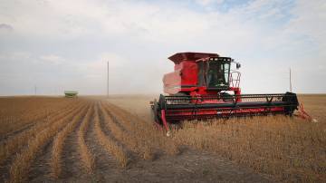 Um agricultor colhe soja perto de Worthington, Minnesota (Scott Olson/Getty Images)