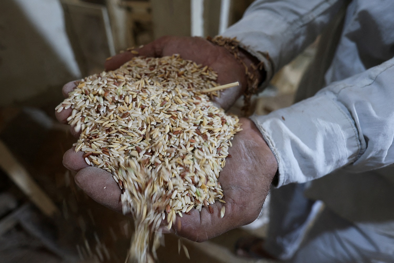 Brasil prevê apoiar produção de 1 mi t de arroz com contratos de opções, diz ministro