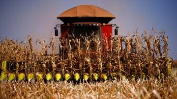 Colheita de milho em uma fazenda perto de Brasília, Brasil (REUTERS/Adriano Machado)