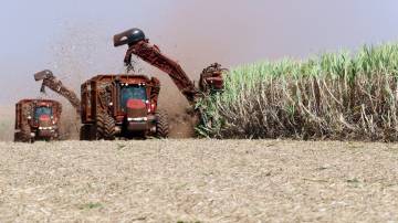 Colheitadeiras corta cana-de-açúcar em Pradópolis (REUTERS/Paulo Whitaker)