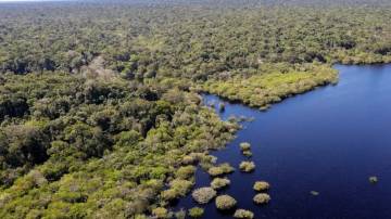 Floresta Amazônica (Foto: Fabio Rodrigues-Pozzebom/Agência Brasil)