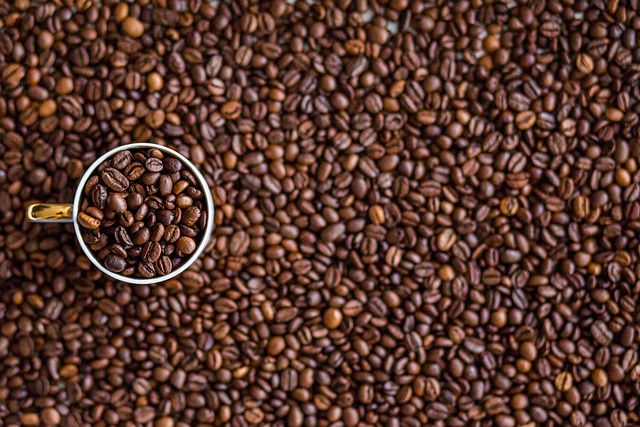 Grãos de café espalhados por toda a extensão da foto com uma lupa em uma porção