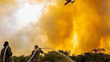 Pantanal vem sofrendo com incêndios e queimadas (Foto: Divulgação/Corpo de Bombeiros Militar MS)