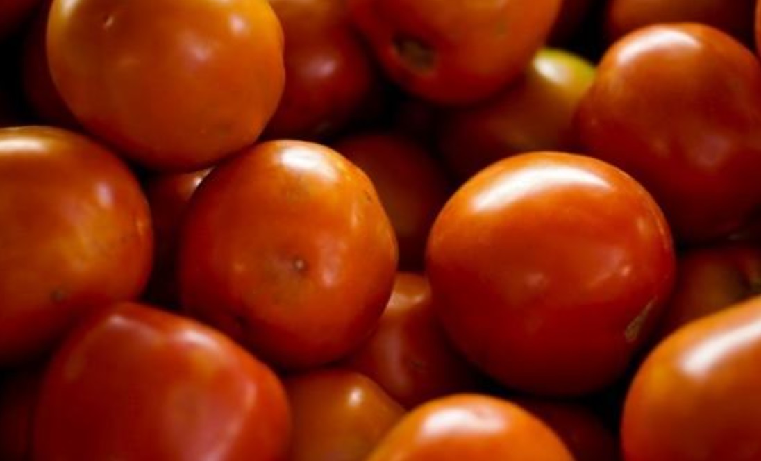 Farinha de aveia e molho de tomate, pleitos do agro, ficam fora da cesta básica