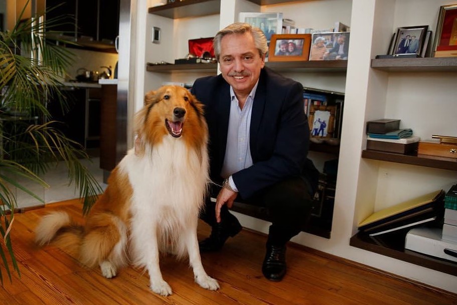 O ex-presidente da Argentina Alberto Fernández com seu cachorro Dylan (Foto: reprodução do Instagra@dylanferdezok)