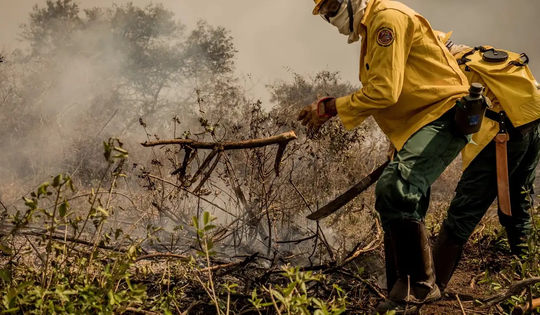 PF investiga incêndios criminosos na região do Pantanal