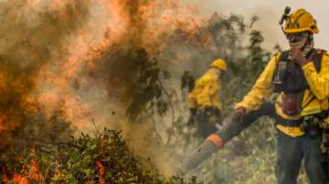 Incêndios continuam castigando o Pantanal (Foto: Marcelo Camargo/Agência Brasil)