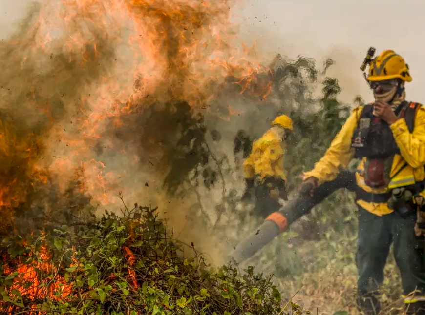 Incêndios continuam castigando o Pantanal (Foto: Marcelo Camargo/Agência Brasil)