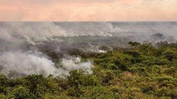 Incêndios no Pantanal são tema de três MPs, que abrem crédito orçamentário e permitem contratação de profissionais para combater o fogo (Foto: Marcelo Camargo/Agência Brasil)