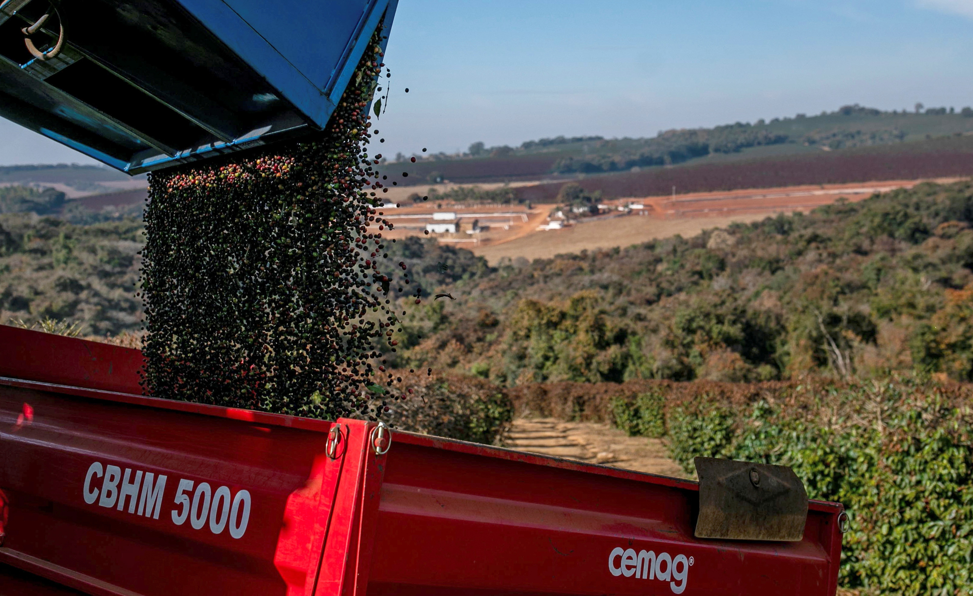 Preços de Café e Açúcar Disparam em 2024: Entenda o Motivo!