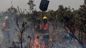 Bombeiros combatem um incêndio de grandes proporções que atinge a Floresta Nacional de Brasília (Flona) nesta quinta-feira, 5 de setembro de 2024. (JOSÉ LUIZ TAVARES/ATO PRESS/ESTADÃO CONTEÚDO)