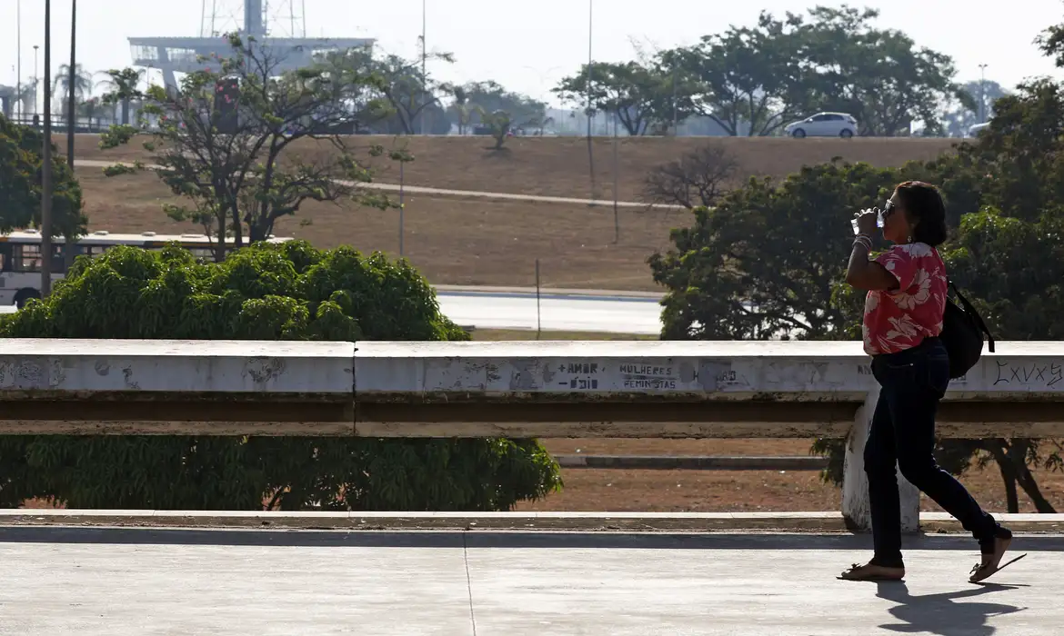 Fumaça de queimadas (Bruno Peres/Agência Brasil)