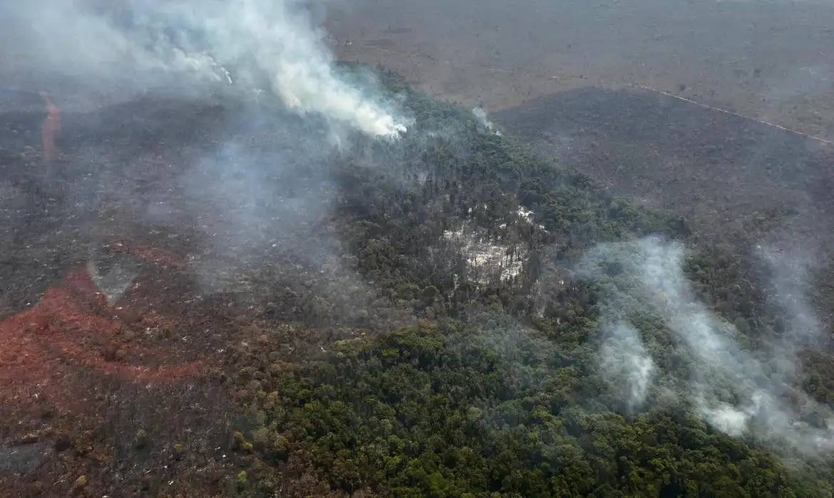 O parque continua sob vigilância de bombeiros e brigadistas para evitar que as chamas voltem a se alastrar pelo bioma do Cerrado (ICMBIO/Divulgação)