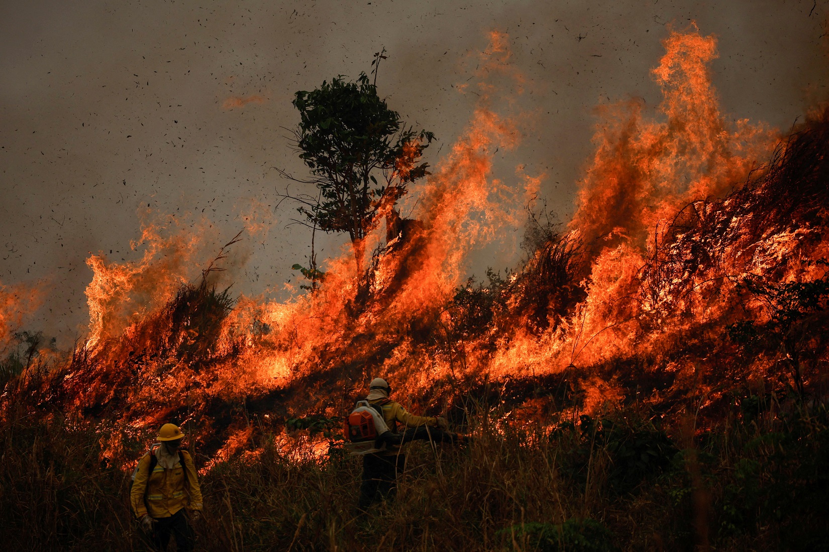 Incêndios na floresta amazônica aumentam pelo 3º mês seguido