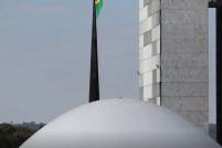 Congresso Nacional, em Brasília (DF) (Foto: Fábio Rodrigues-Pozzebom/Agência Brasil)