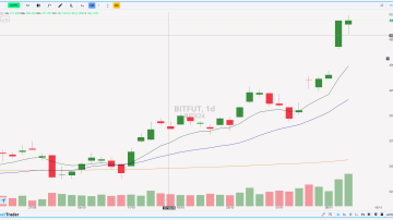 BITFUT 13.11.2024