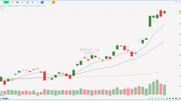 BITFUT 19.11.2024