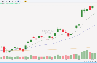 BITFUT 21.11.2024
