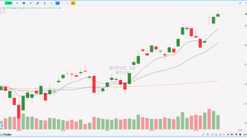 BITFUT24 11.11.2024