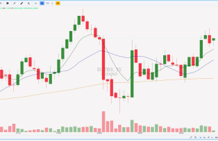 Análise Técnica de Suzano