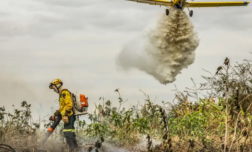 Combate aos incêndios no Pantanal (Foto: Marcelo Camargo/Agência Brasil)