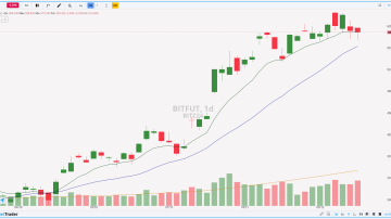 BITFUT 11.12.2024