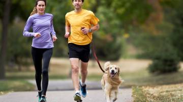 Mulher e homem praticam corrida com cachorro Foto: JMichl/Getty Images