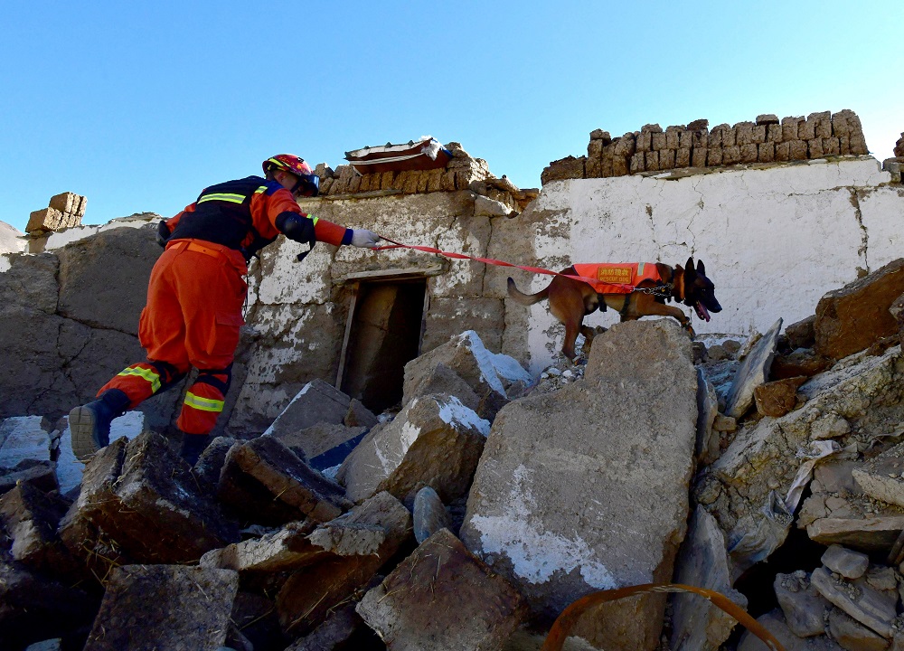 Bombeiro realiza operação de busca e resgate com cão farejador após terremoto no Tibete
08/01/2025  cnsphoto via REUTERS