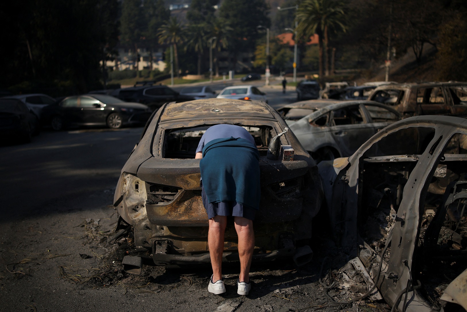 Celebridades de Hollywood limpam armários para enviar ajuda a afetados por incêndios