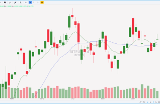 BITFUT DIÁRIO 31.01.2025