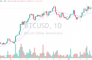 Bitcoin DIÁRIO 31.01.2025