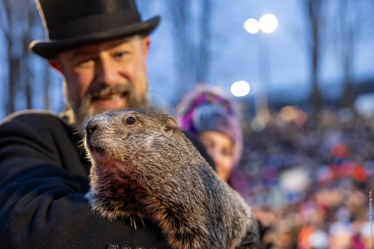 Domingo é do Dia da Marmota, mas o roedor Phill consegue mesmo prever o tempo?  