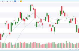 BITFUT DIÁRIO 05.02.2025