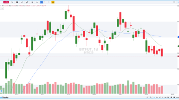 BITFUT DIÁRIO 12.02.2025