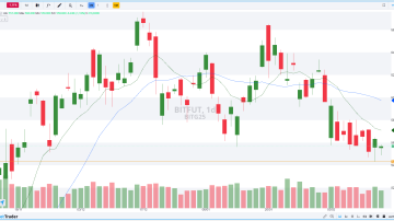 BITFUT DIÁRIO 14.02.2025