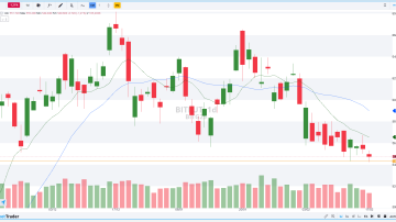 BITFUT DIÁRIO 18.02.2025