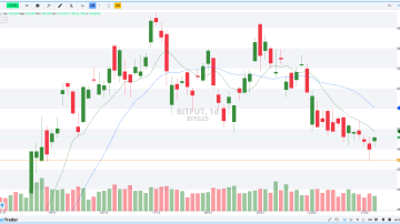 BITFUT DIÁRIO 20.02.2025