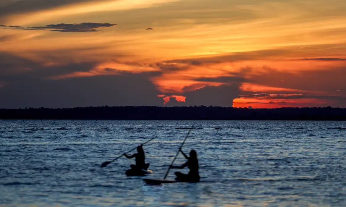 COP16 da Biodiversidade: Finanças em Foco na Conferência da ONU em Roma